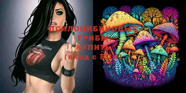 крисы Балахна