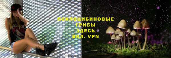 крисы Балахна