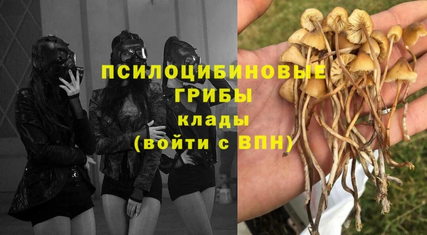 а пвп мука Баксан