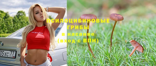 крисы Балахна