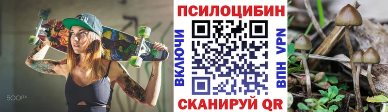Псилоцибиновые грибы Psilocybe  дарнет шоп  Буинск 